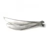 Antares Silverbrosch