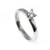 Dream 0,25 ct Vitguld