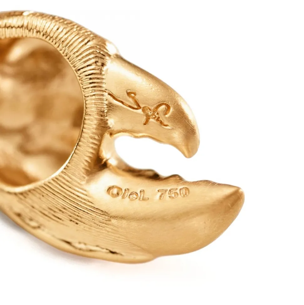 My Little World Young Fish Krabbklo