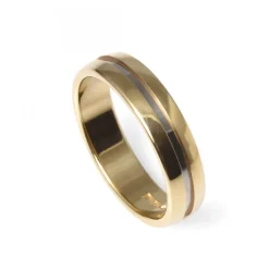 Tvåfärgad Guldring 5,5mm