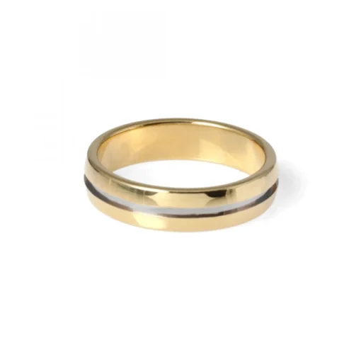 Tvåfärgad Guldring 5,5mm